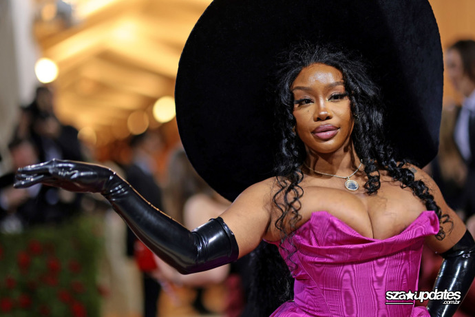 Chegando ao Met Gala “In America: An Anthology of Fashion”