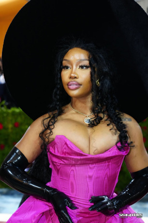 Chegando ao Met Gala “In America: An Anthology of Fashion”