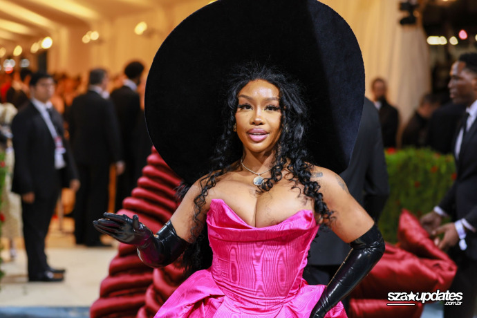 Chegando ao Met Gala “In America: An Anthology of Fashion”