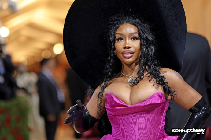 Chegando ao Met Gala “In America: An Anthology of Fashion”