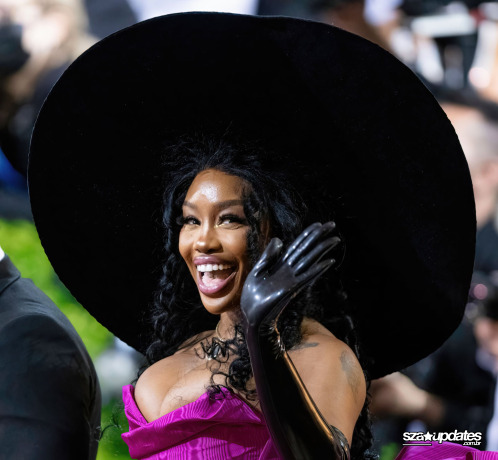 Chegando ao Met Gala “In America: An Anthology of Fashion”